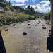 IMG_5357.jpeg