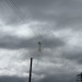 IMG_5460.jpeg