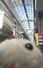 75789A20-CEFB-49B7-9D8A-0DD2DBC6879D.jpeg