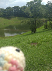 72465EB3-F17A-4ABD-A510-5C81B0F41246.jpeg
