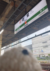 13A37C20-5C03-4177-8A8E-2819EA47CCF5.jpeg