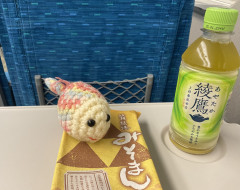 0DB07C56-7BEE-4694-BBE8-41B862C65C5C.jpeg