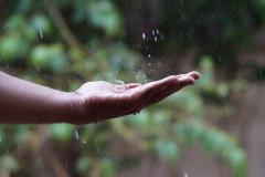 F01ABACB-8658-403A-AFE1-73F2C6A2D92C.jpeg