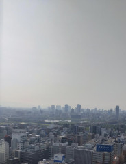 A0B4AF6A-2828-4E6F-B81C-AA06D5DF5EE9.jpeg