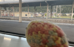 75A516BA-2F27-46DD-972F-90F51287CAF1.jpeg