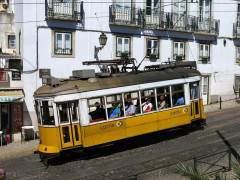 2731726D-355C-4626-9AC4-F4838E9F7942.jpeg