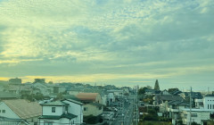 CAD09B70-527B-4137-A068-140A4DB7682D.jpeg
