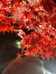69CF464E-3580-4B14-A035-EECB108B8CB3.jpeg