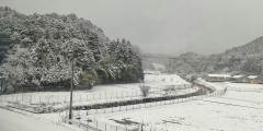 B536C66E-1DAA-4597-BB8F-4B322B9925ED.jpeg