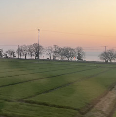 5652B75E-30BC-4C9B-93A6-C817C7C34211.jpeg