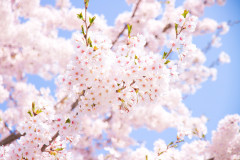04A48FB1-8B0C-4A23-A977-A4429281738B.jpeg