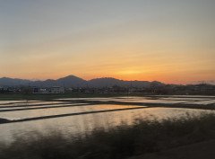 8B164C1A-70E0-41F3-AF3A-66F87E5C036A.jpeg