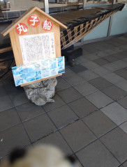 DSC_2524.JPG