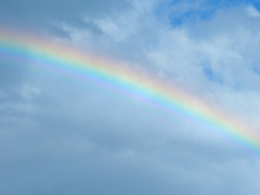 AEA35C6F-081F-4646-B527-59D574AB665F.jpeg