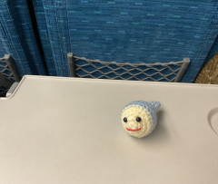 3F38937A-2D4E-4561-A680-B1F66F07B68D.jpeg