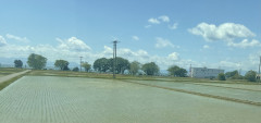 7161D6BD-48B3-4265-92F3-0471DE79F430.jpeg