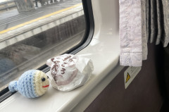 FED77762-C960-4FF1-A255-157C7B2733E1.jpeg