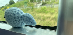 7DF7A172-62A5-4995-B077-4F92BE9FA350.jpeg