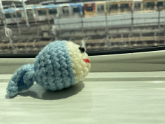82FF1BC7-68BE-49DC-ADE4-643C130CDE97.jpeg