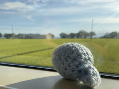44569CAE-559E-4B26-8F7C-0DE31210E1AD.jpeg