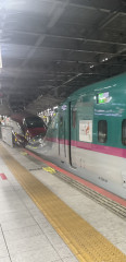1FA26C32-89CB-4122-9C7E-26A1DD3829E5.jpeg