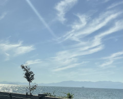 D1D8B73D-F3CE-4347-A6BF-0711ADD077D0.jpeg