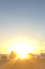 751054C2-90CD-414E-9A54-60F8AD19FB92.jpeg