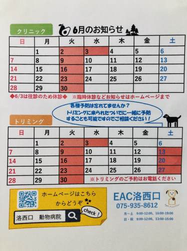 6gatu.jpg