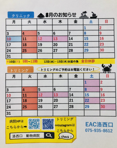 8月.jpg