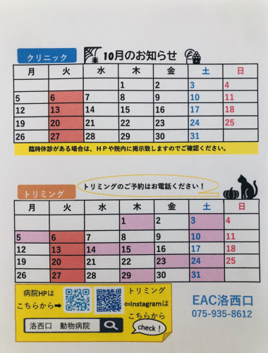 S__26443781.jpg