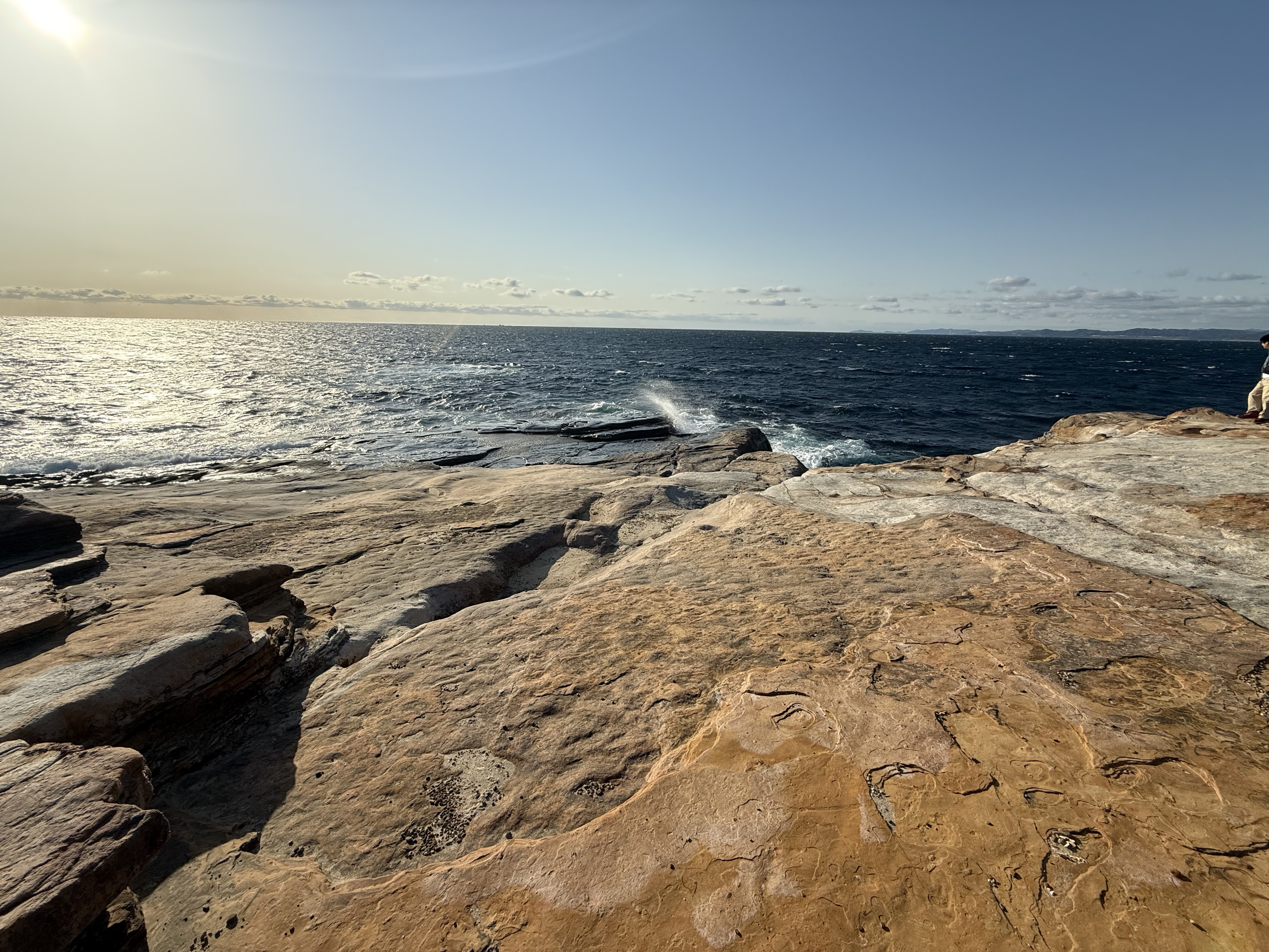 梅林と海風がくれた、静かな気づき