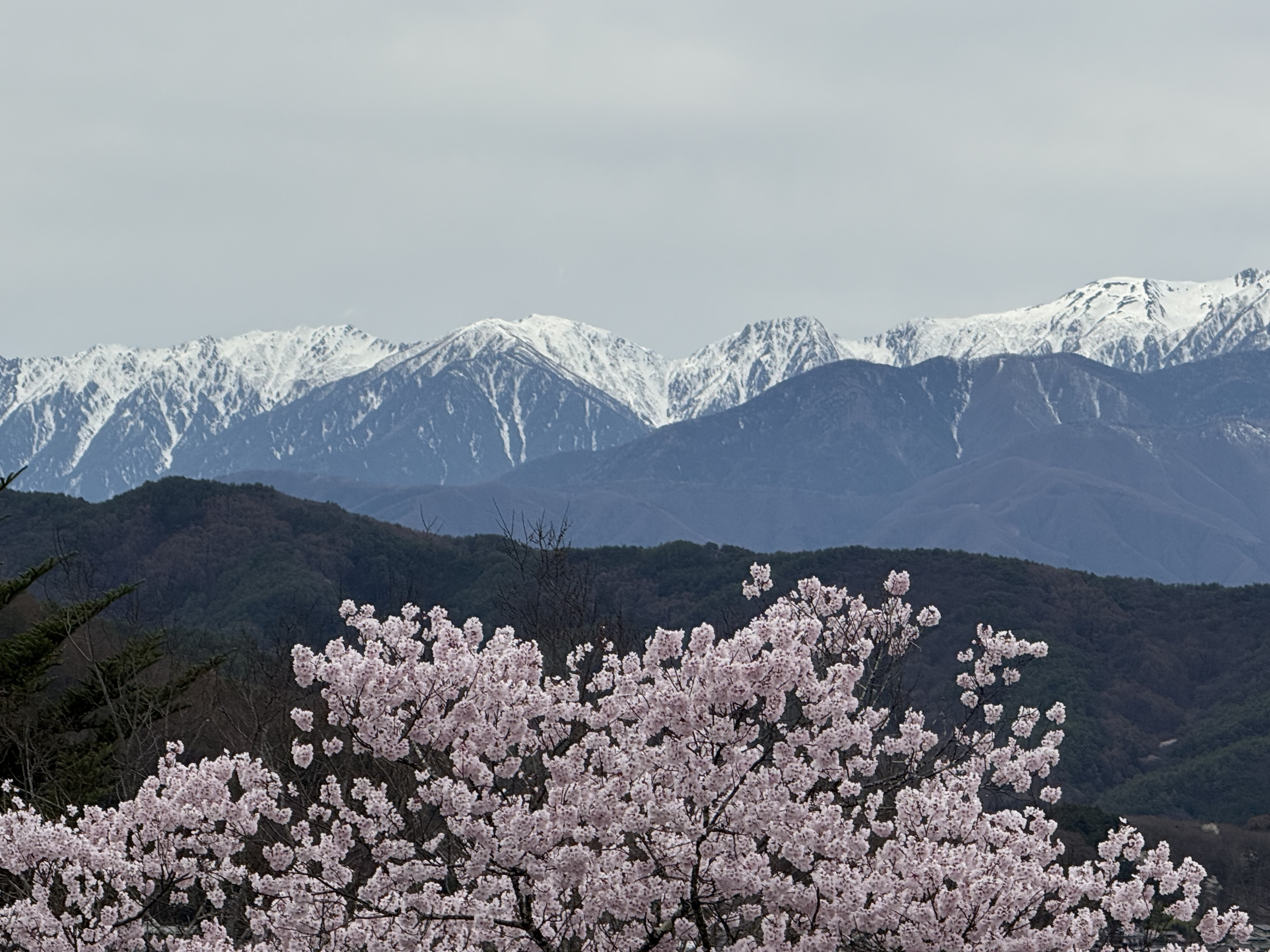 痛みは、未来のわたしからの手紙