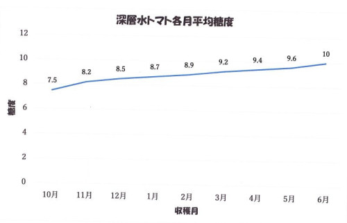 平均糖度3.jpg