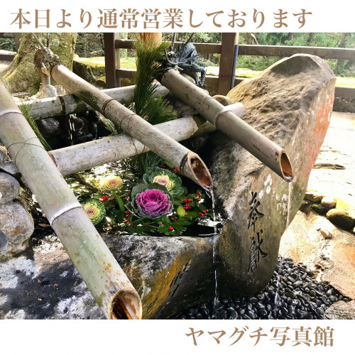 4FCB862B-469E-4579-9D27-52900D7704BD.jpeg