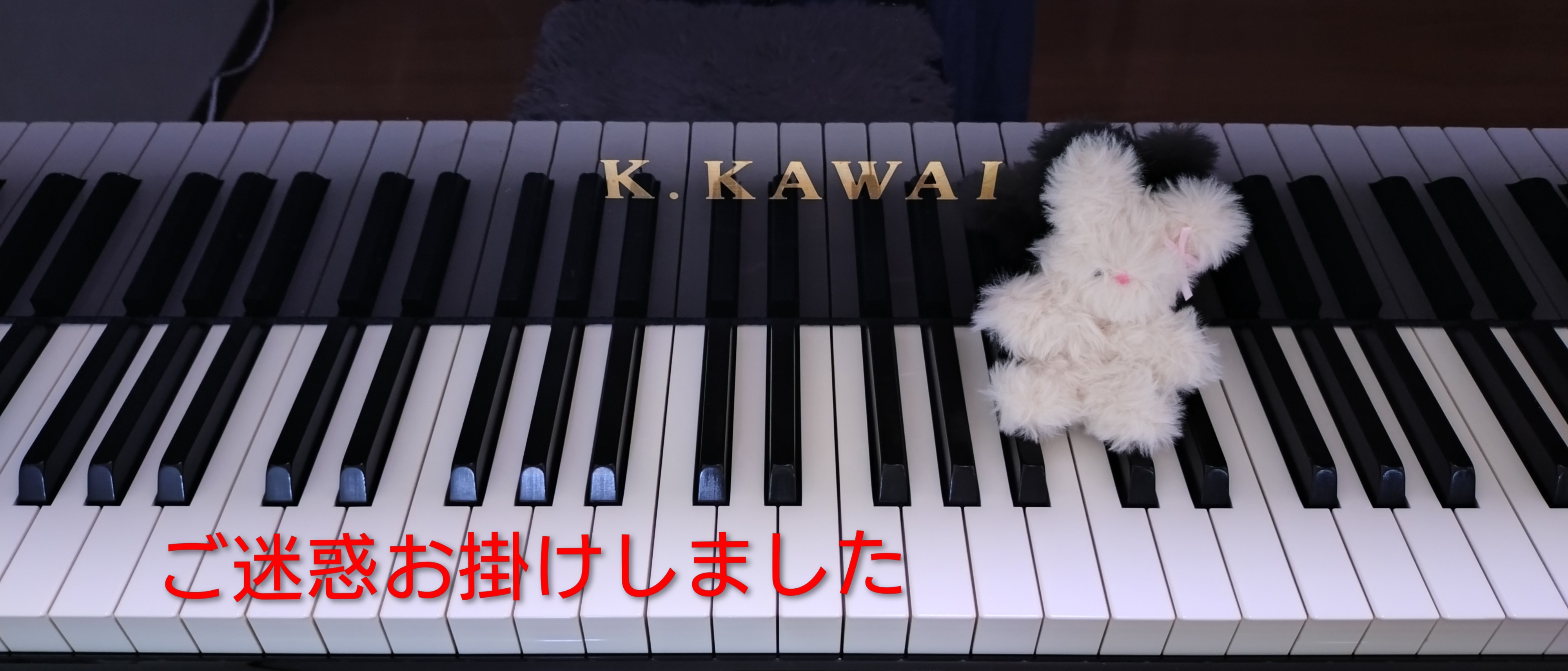 ご迷惑お掛けしました