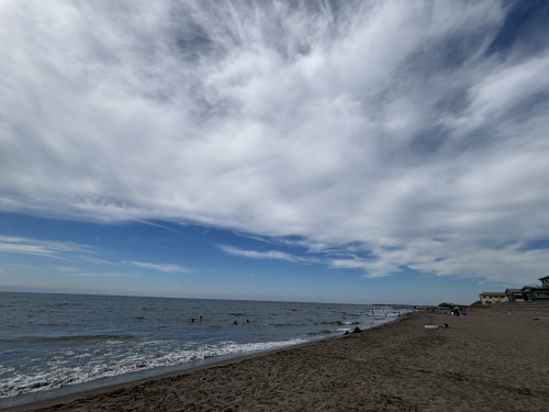 IMG_8598.jpeg