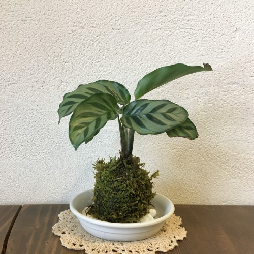 お花のワークショップ