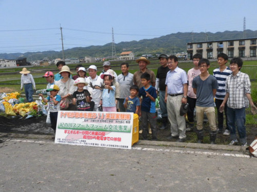 地域の皆様と耕作放棄地活用したイモ水耕栽培を実践中！
