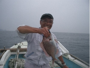 湯浅湾ﾃﾞ鯛釣りです｡