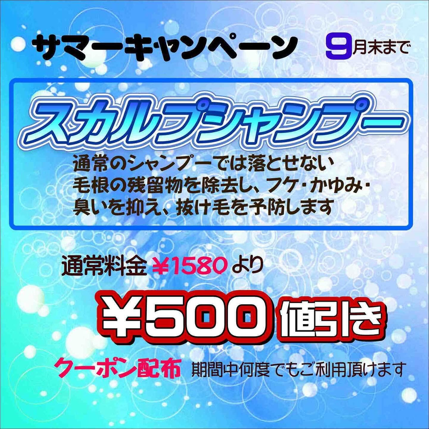 サマーキャンペーン中　9月末まで