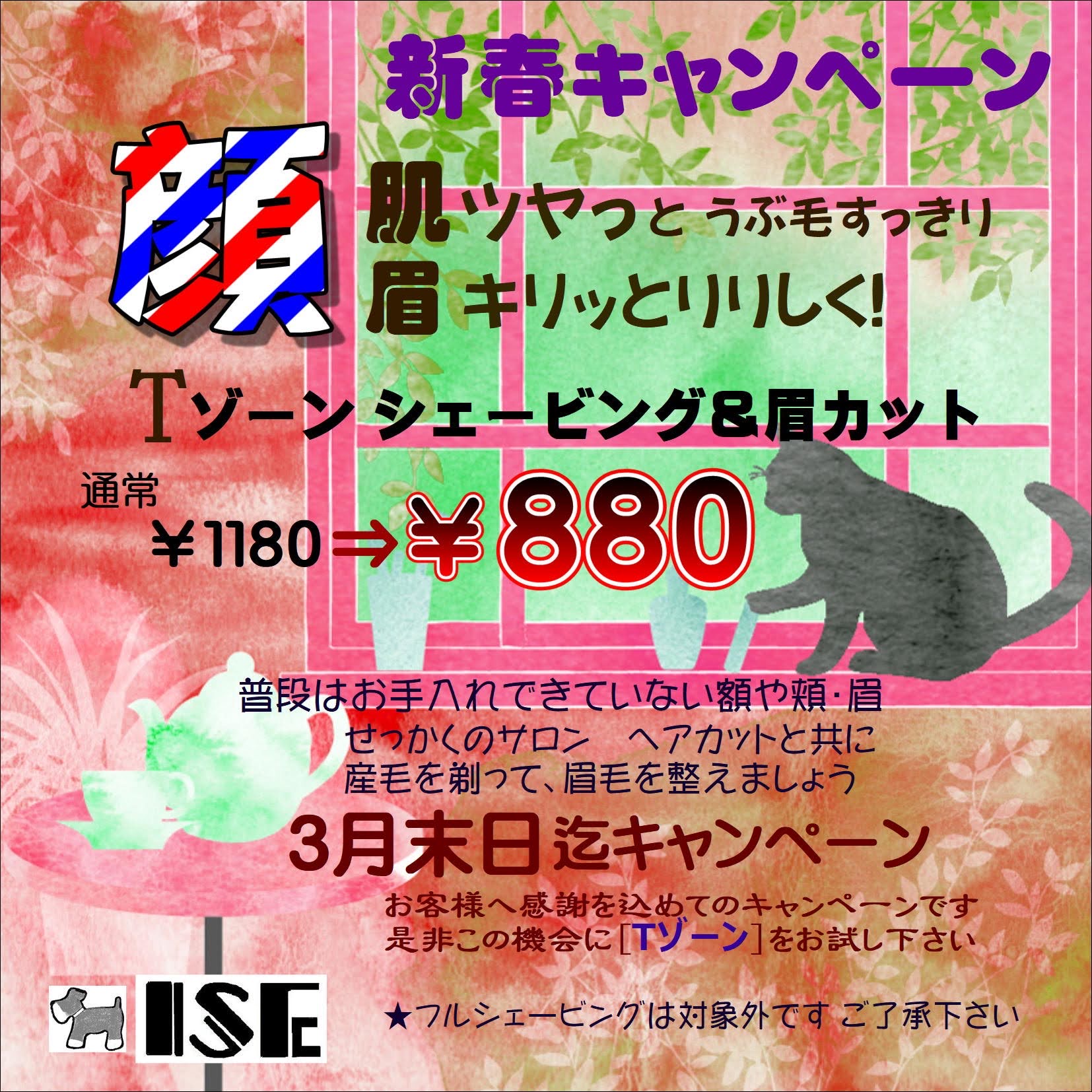 春キャンペーン　Tゾーンシェービング