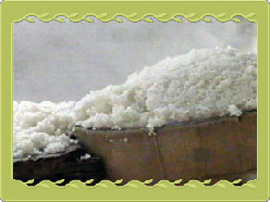 蒸し上がった原料米