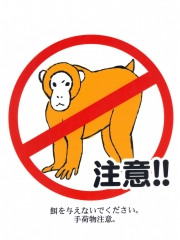 猿.JPG