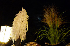 P1020235.JPG