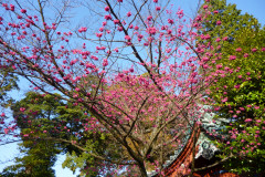 P1020835.JPG