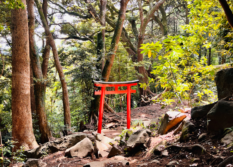 白山社