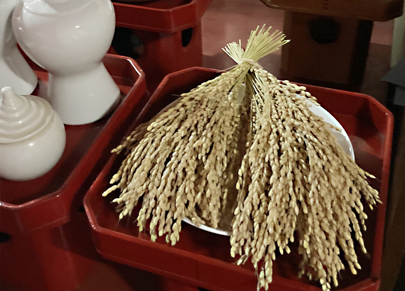 10月17日神嘗奉祝祭が斎行されました。