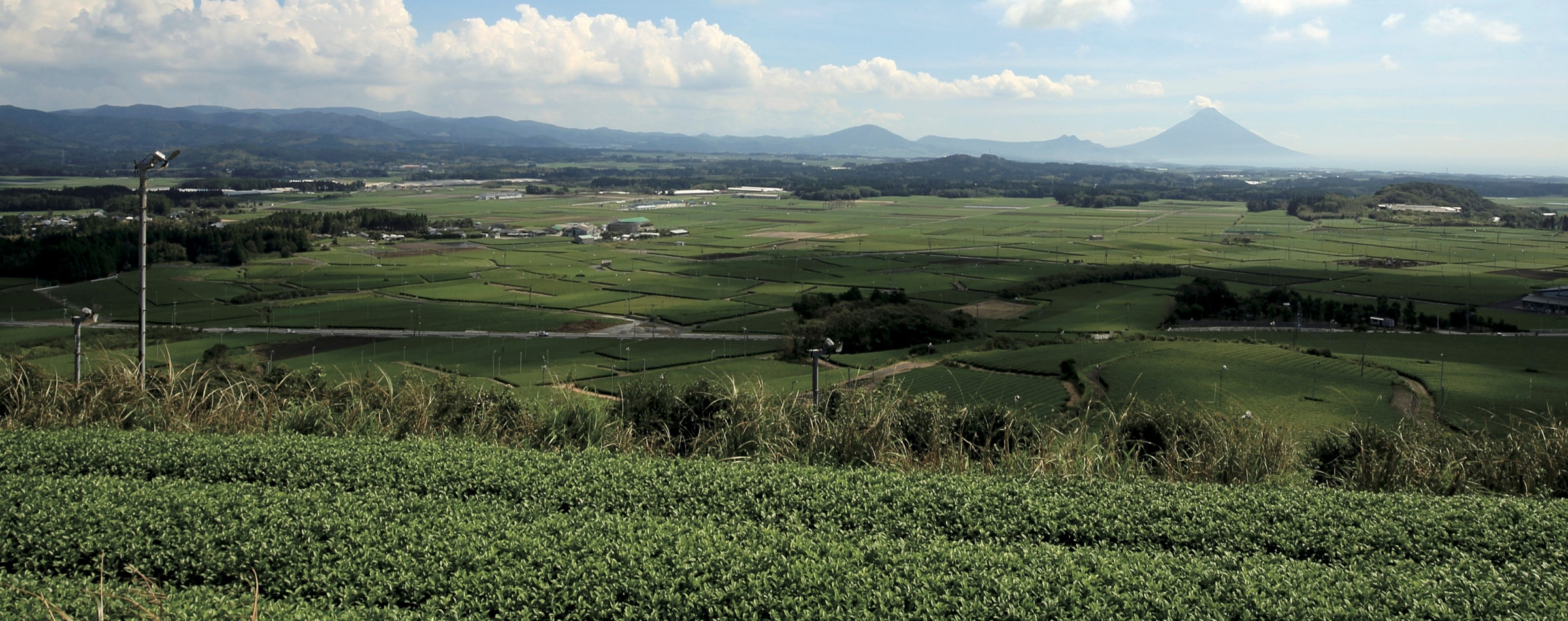 福田孝徳茶園 鹿児島知覧茶 【後岳茶】