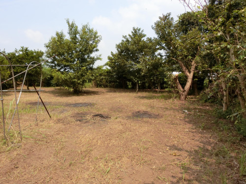CIMG7496-min.JPG