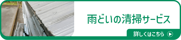 雨どいの清掃サービス